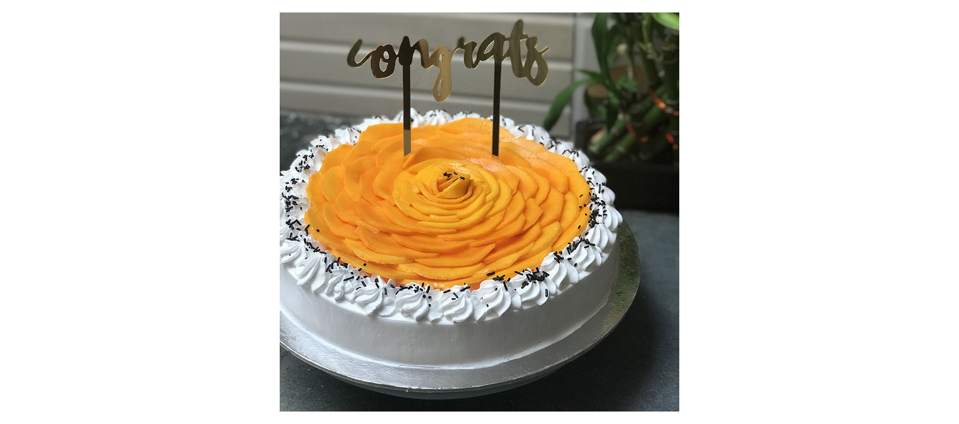 Best Mango Cake In Ahmedabad | Order Online